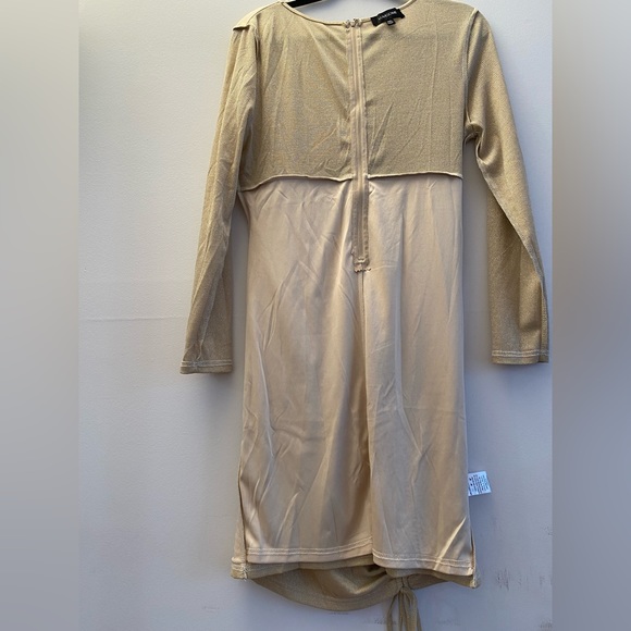 Women's Sexy Shimmery Plus Size Bodycon Dress Ruched Mini Dress with Drawstring - Picture 6 of 11